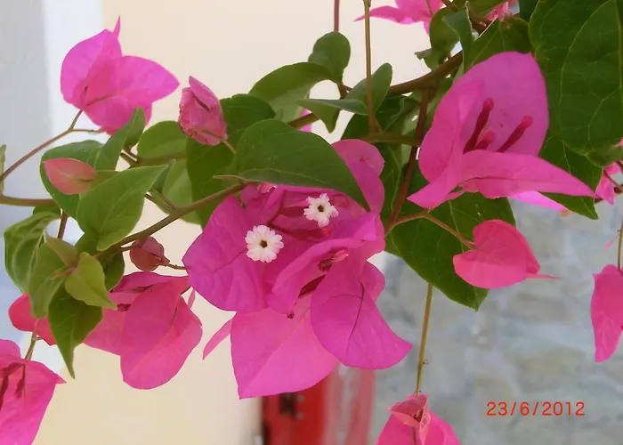 Апарт-отель Aegean View