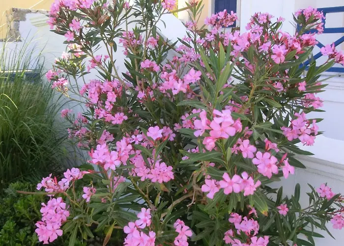 Aparthotel Aegean View Kamari (Santorini)