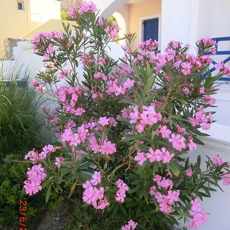 Aparthotel Aegean View Kamari (Santorini)