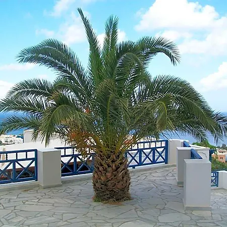 Aegean View Aparthotel 4*