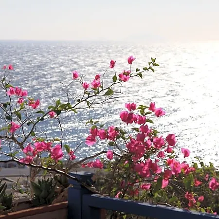 Aparthotel Aegean View 4*