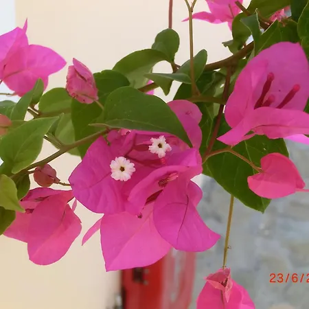 Apartmanhotel Aegean View